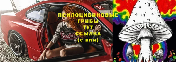 мдпв Володарск