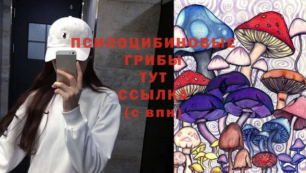 мдпв Володарск