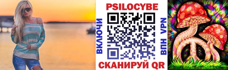 Купить где  Оханск  Псилоцибиновые грибы Cubensis 